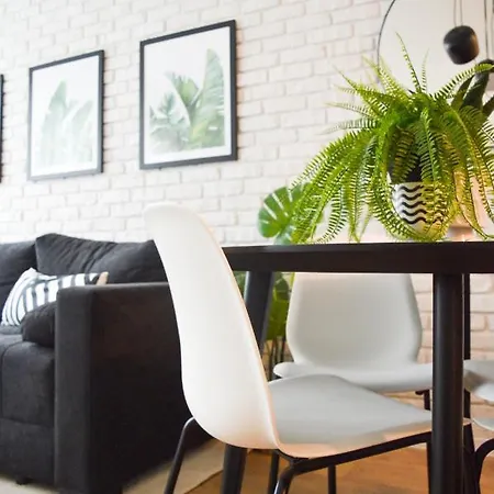 The Black & White Oasis