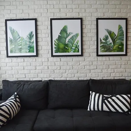 Apartamento The Black & White Oasis Belgrado