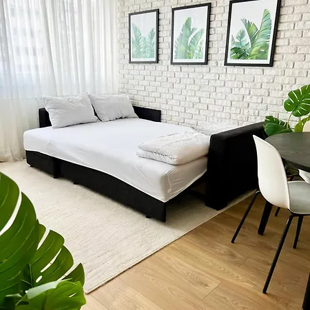 The Black & White Oasis Belgrado